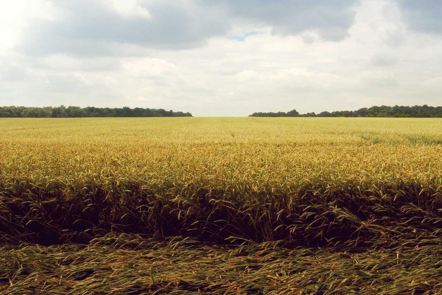 Qui suscipit totam nesciunt expedita